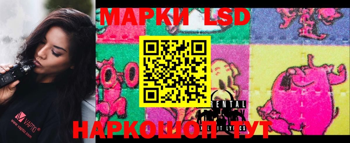 Лсд 25 экстази  Вход с VPN  LSD-25 экстази ecstasy  Шумерля  ЛСД экстази ecstasy 