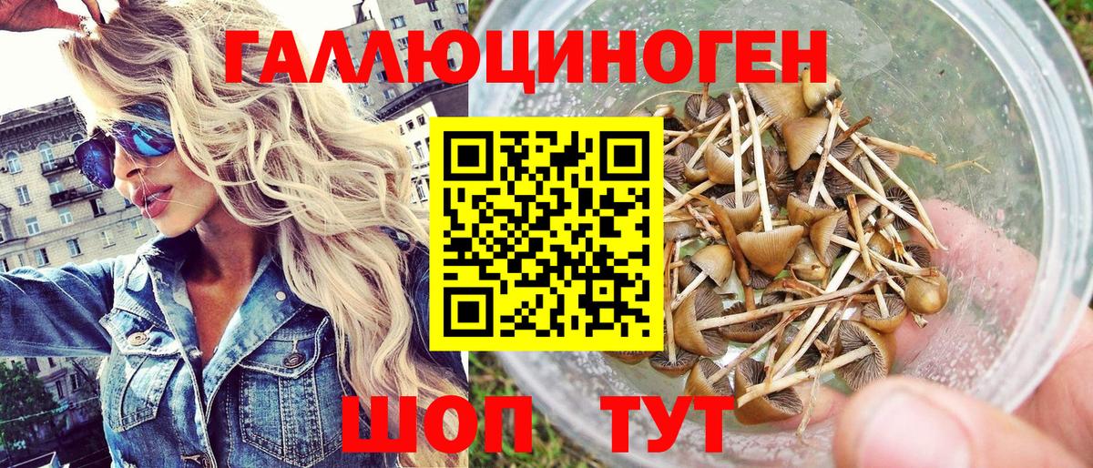 Шумерля  Псилоцибиновые грибы Psilocybe  купить закладку  Псилоцибиновые грибы Cubensis  Вход с VPN 